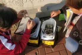 江苏钓友河边钓鱼，忽然来了几波人放生大闸蟹，钓友：我钓了几只图片