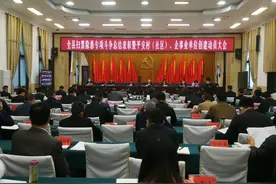 潢川县召开扫黑除恶专项斗争总结表彰暨平安（村）社区、企事业单位创建动员大会图片