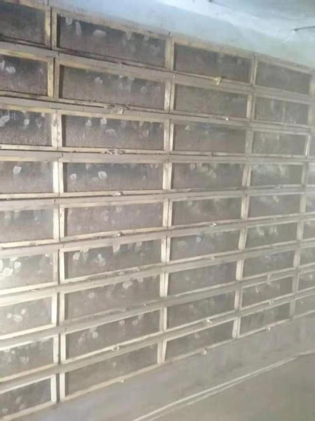 云耕时代白玉蜗牛养殖层次养殖模式