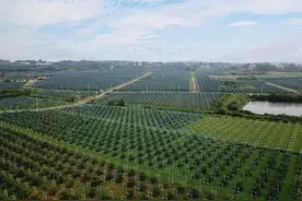 为什么花80000000元在扬州做农场？图片