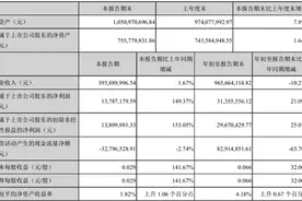 低毛利压制盈利能力 润欣科技（300493.SZ）仍选择出售“现金奶牛”图片