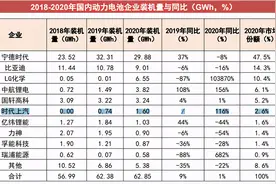 动力电池前十强，上汽系居然有一家图片