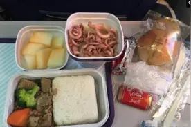 南航飞机餐，厦航飞机餐，川航飞机餐，网友：没有对比就没有伤害图片
