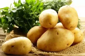 食物发芽 营养翻倍还是有毒？图片