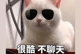 表情包：很酷，不聊天图片