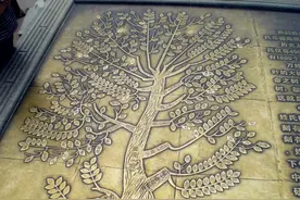 历史上辉煌的4个姓氏，百家姓没有收录，如今即将消失图片