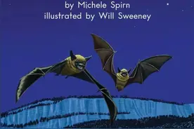 经典英文绘本《Little Bat》小蝙蝠图片