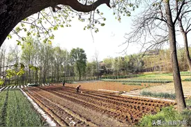 农村6旬光棍贷款10万“闹天宫” 年赚50万爆款有梦想 到底咋回事图片