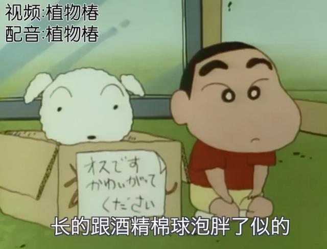 比迪士尼更懂公主片的up主，我只服他