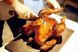 火鸡，你到底有难？同样是鸡，在中国凭什么不能体面来到餐桌上图片