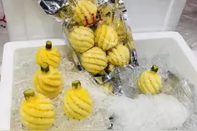 袋装的泰国小菠萝打开后有酒糟味，这是坏了吗？图片