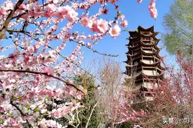 妈妈的妈妈图片