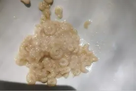 蜂王浆的正确吃法图片