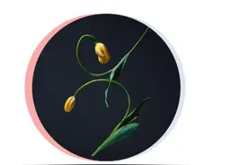 假如植物也emo，那它可能会跳舞吧？图片