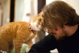猫咪的美丑，性格的好坏，只与一个因素有关，那就是人图片