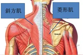 手臂上举疼痛怎么办呢图片