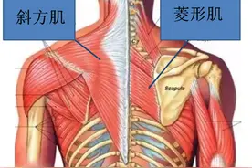 手臂上举疼痛怎么办呢图片