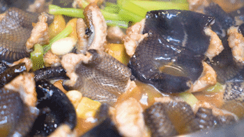 鳄鱼肉炆花胶 2026年鳄鱼胶的吃法