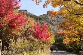 秋天是小众旅游地：看枫叶的好地方，人少景美图片