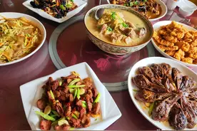 假期，请南方同学吃饭，10个人8道菜，同学：北方菜都这么硬吗图片