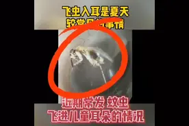 西安一幼童遇“飞虫入耳”，医生：千万别掏！可用这种东西图片