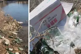 添加敌敌畏养海参，简直作死！图片