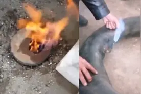 村民打水井能喷出可燃气体？化学老师：可能是甲烷视频封面