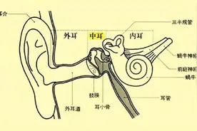 【科普系列】9岁儿童患面瘫，病因竟在耳朵！图片