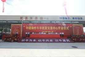 中国南方牛羊批发交易中心正式开业运营 ！图片