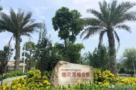 为民办实事 | 潮阳区聚力抓民生，推出139项惠民便民项目图片