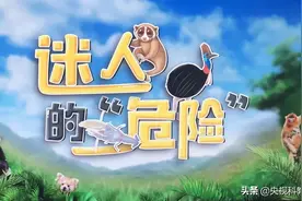 前方危险！毒液、战枪、开膛腿，动物“杀手”集体出没！图片