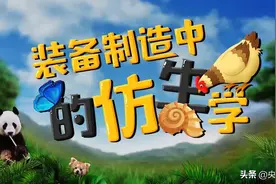 “虫”不可貌相！蝴蝶竟能助力人造卫星飞上太空？图片