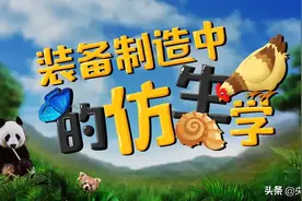 “虫”不可貌相！蝴蝶竟能助力人造卫星飞上太空？图片