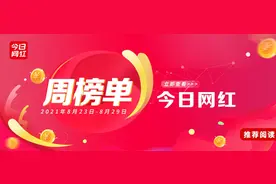 雪梨迈进单场10亿俱乐部；宠物睡播大火；铁山靠成流量密码 | 周榜图片