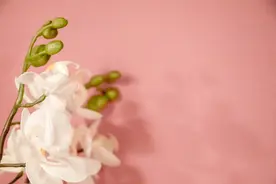 心理学：男人心里，个子矮的女人，更撩人图片