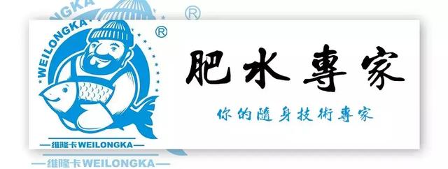 底质改良势在必行，刻不容缓