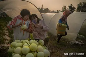 脱贫攻坚群英谱：残疾人群体电商创业，拼出精彩人生图片