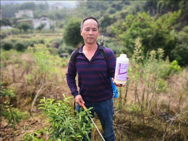 接上篇—神奇钛肥