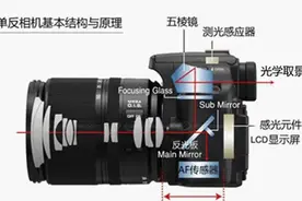 摄影｜用相机定格美好瞬间图片
