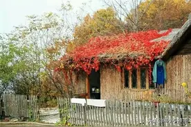 戴望舒：《独自的时候》图片