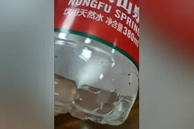 农夫山泉被曝未开封瓶装水中有蛆虫！包装水对收入贡献率超60%，公司紧急回应图片