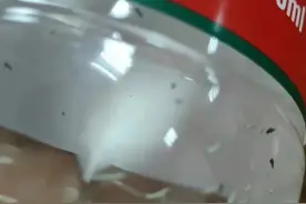 农夫山泉被曝未开封瓶装水中有蛆虫！包装水对收入贡献率超60%，公司紧急回应图片