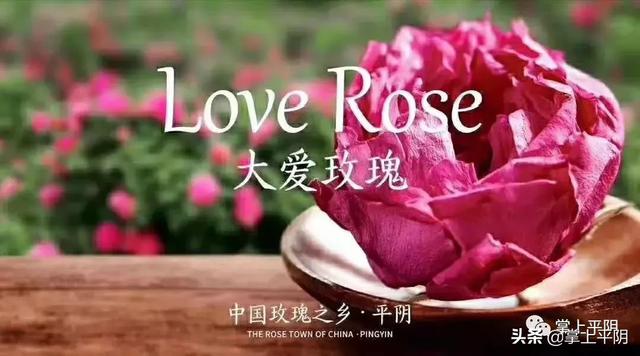 今天,平阴向全世界发出邀请!