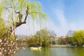 统编本六年级下册第一单元整体教学设计图片