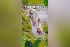 怎么保护生物多样性？请看中国的办法！图片