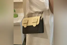 今天谈谈剑桥包包图片