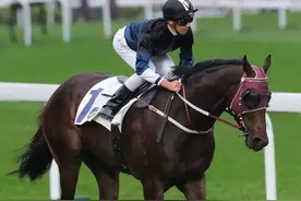 澳门叠码仔香港驯马师，靠豪门致富的那些人，他们的故事也很精彩图片