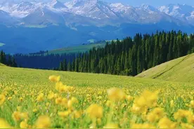 适合6月出游的旅行清单，有空的时候就近找个地方走走图片