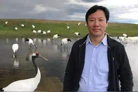 被股神赵老哥骂醒的股市天才“瑞鹤仙”从50万到上亿的进阶之路图片