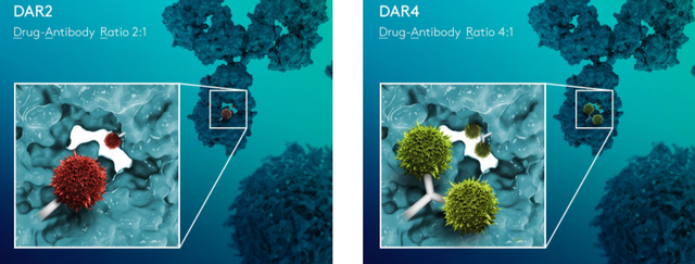 多项授权合作，Synaffix公司ADC专利技术解析